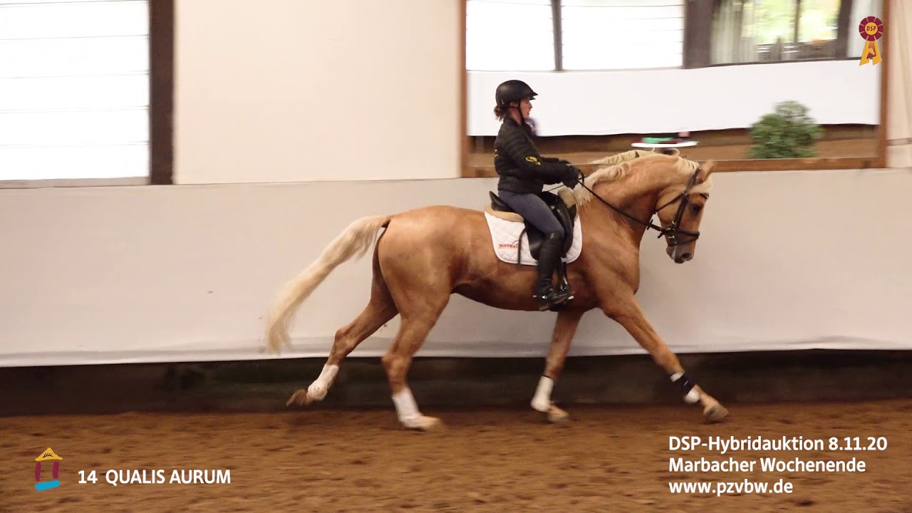 Trainingsimpressionen KN 14 QUALIS AURUM  *Marbacher Wochenende 2020*