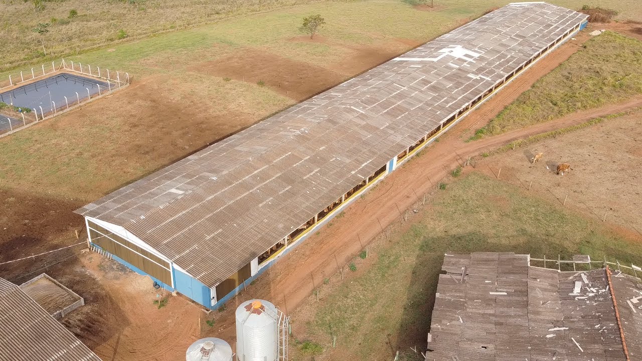 Compost Barn Tunel de Vento para 150 animais - Composição e detalhes do barracão