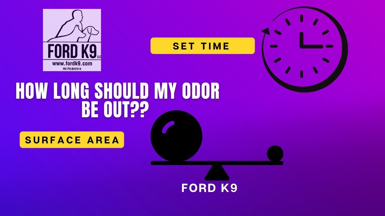 How long should I put out my odor before I run my dog??