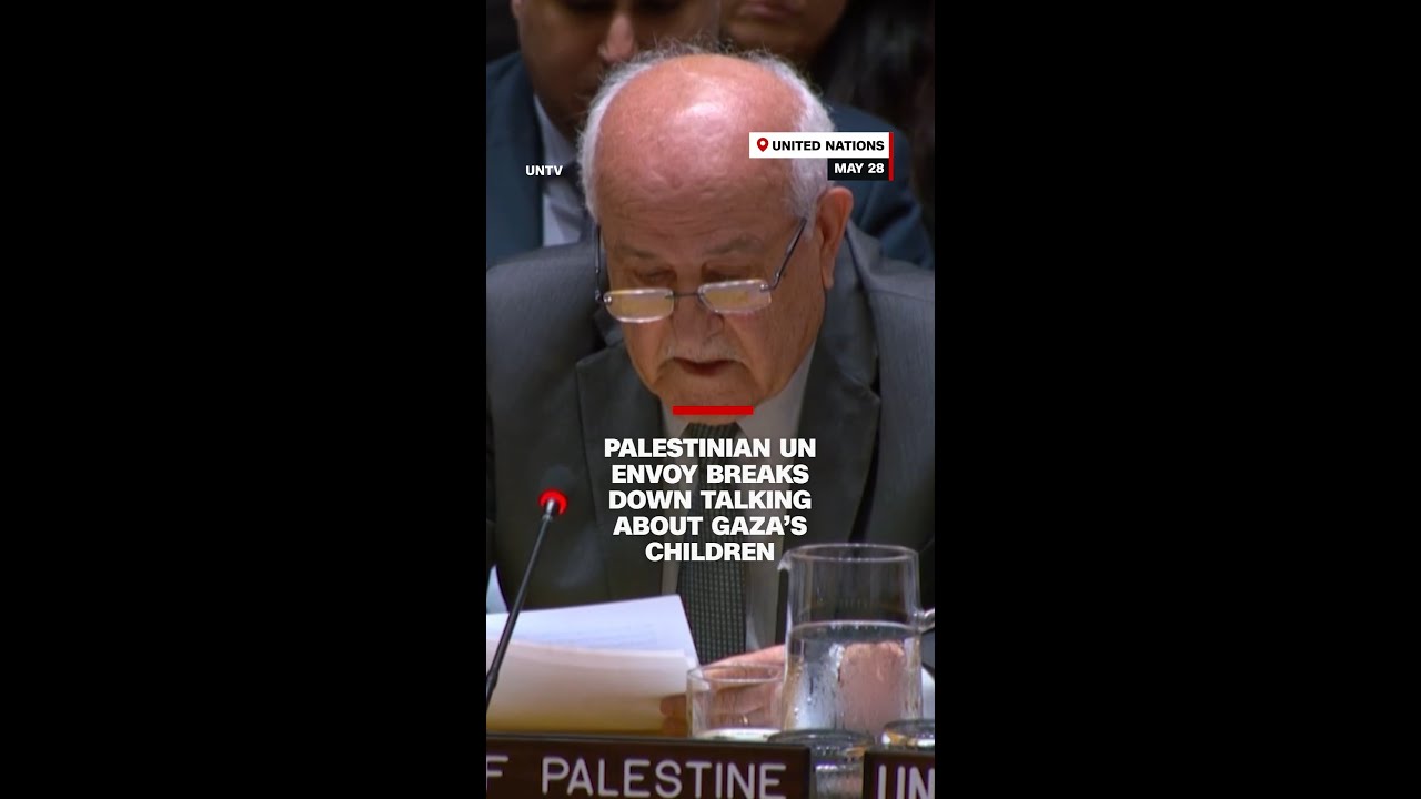 Palestinian UN envoy breaks down talking about Gaza&rsquo;s children
