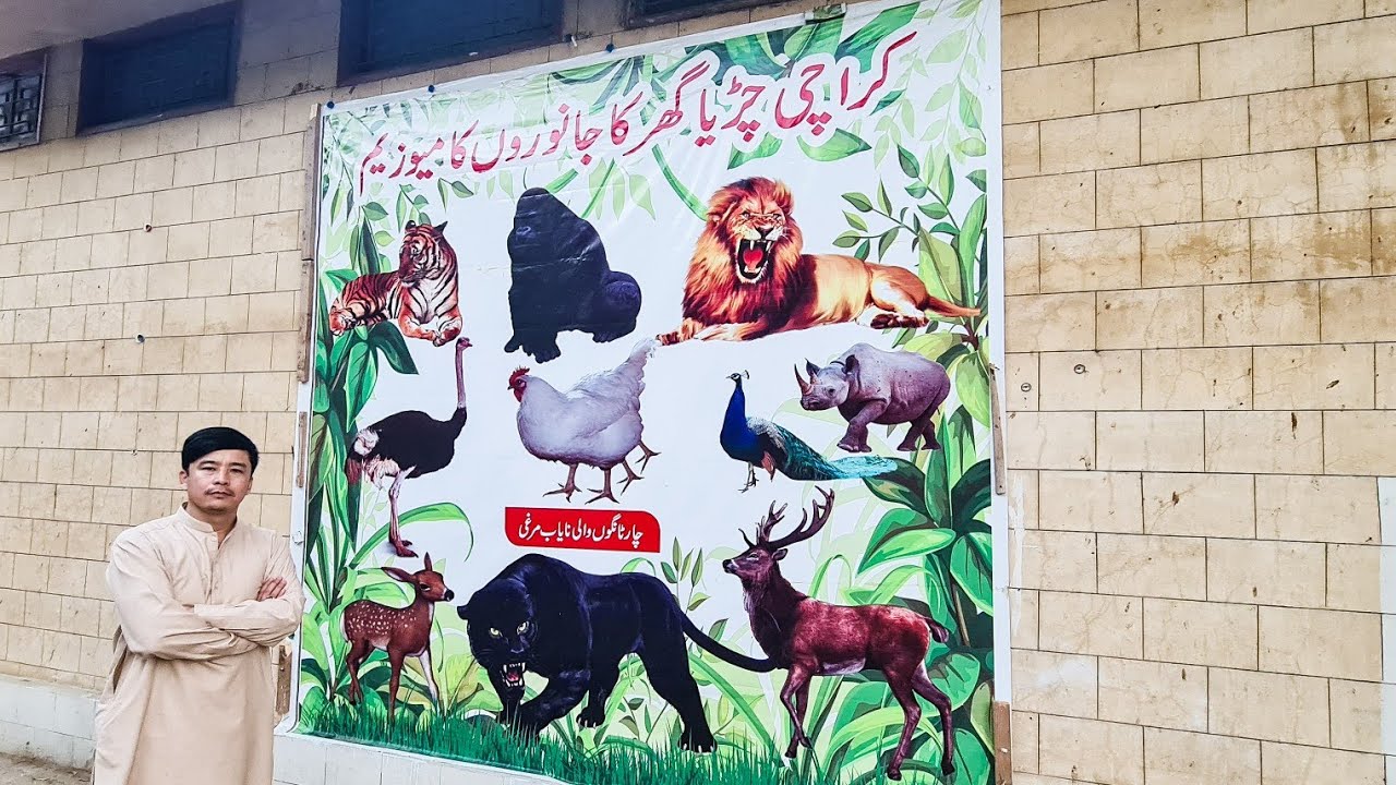 Karachi Zoo Gardan | Zoo | کراچی چڑیا گھر