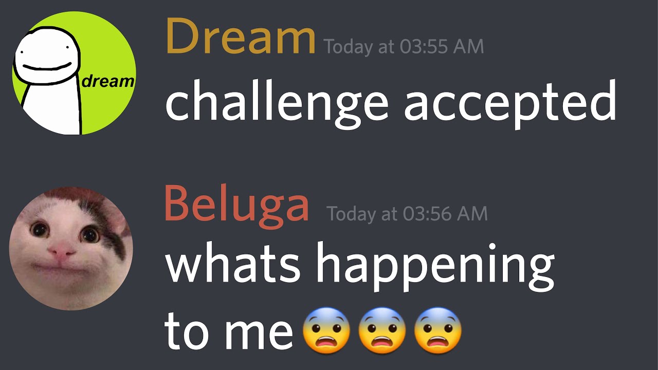 When Beluga tries to Speedrun Minecraft...