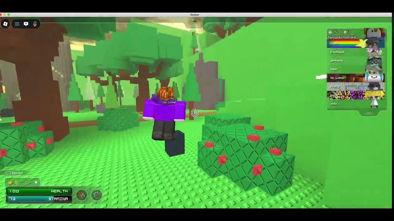 pwning people in the heights in sewh