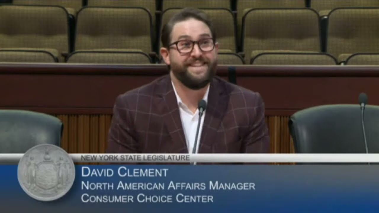 Consumer Choice Center's David Clement testifies at the New York State Assembly on direct EV sales