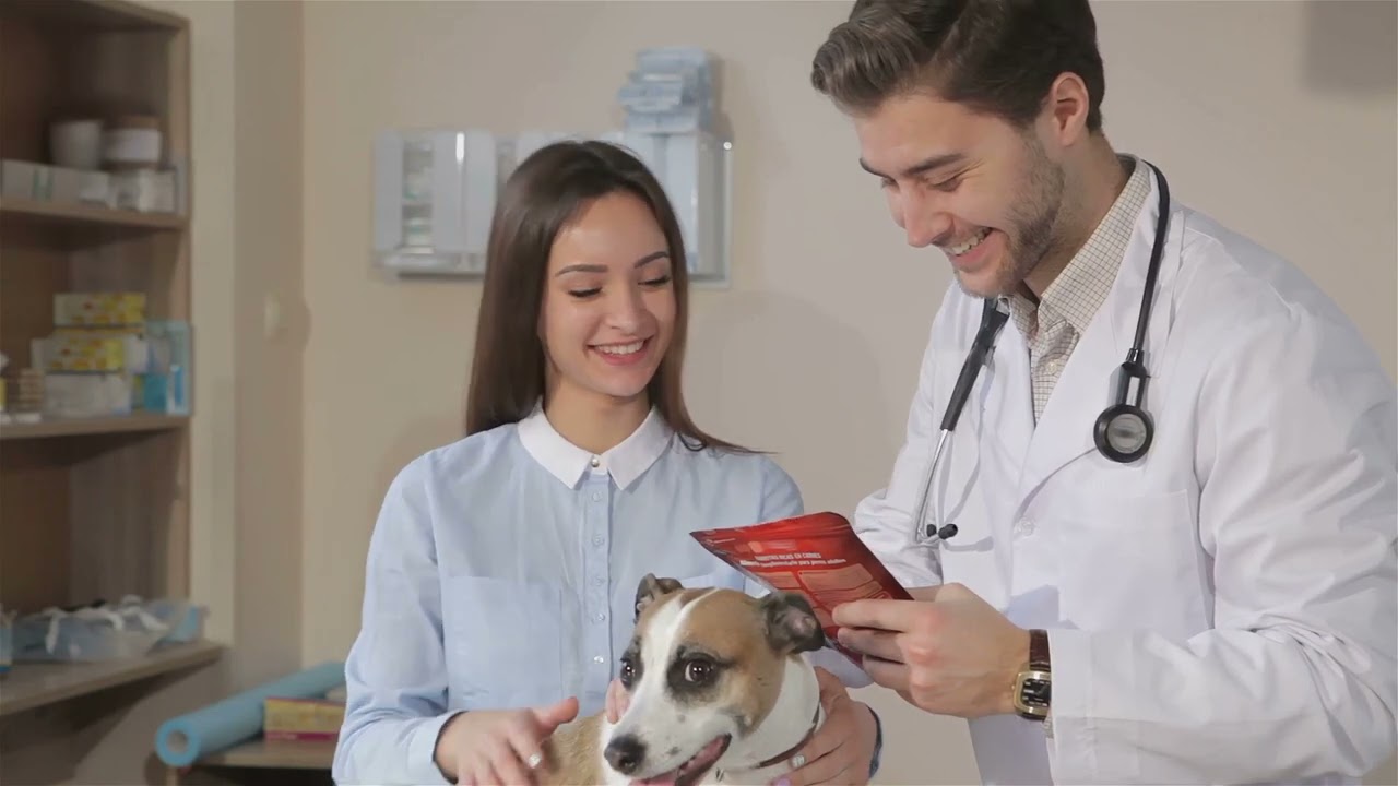 Keep Your Pet Healthy  Weight Management