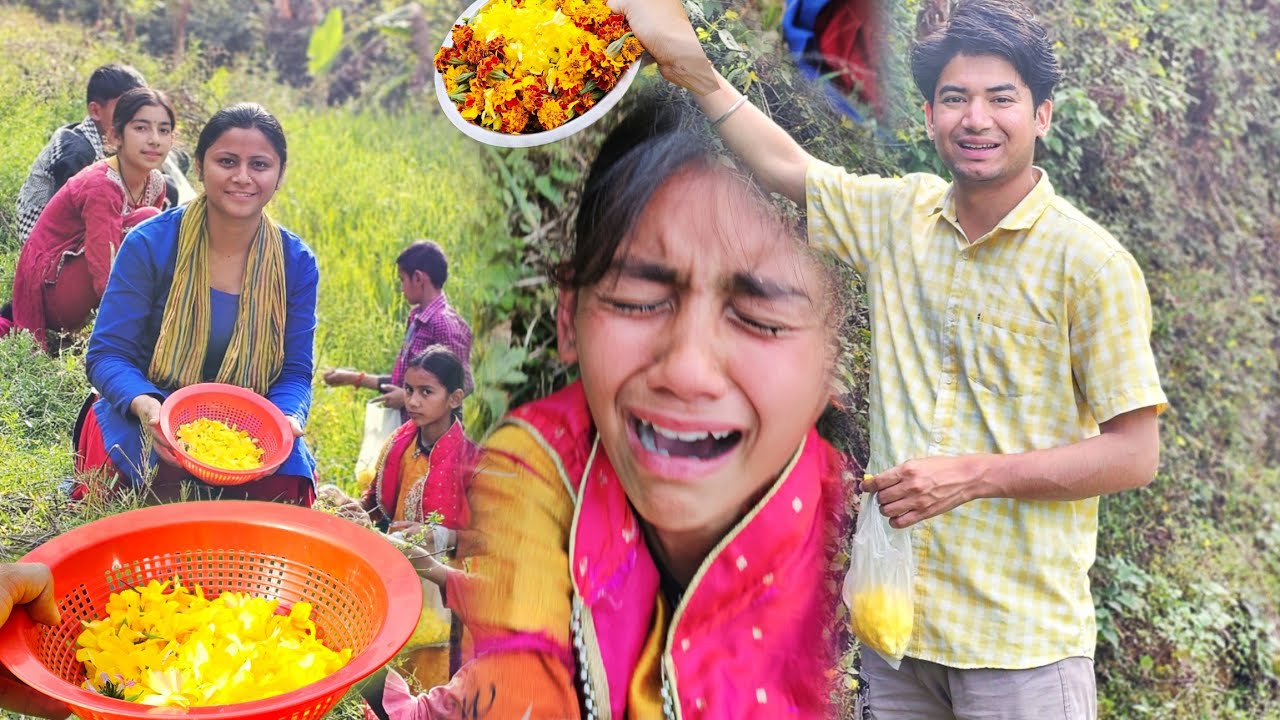 फूलदेई - लोकपर्व त्यौहार 🌸🏵️ || चांँदनी रोने लगी  😭 || Pahadi Lifestyle Vlogs || Daily Vlogs