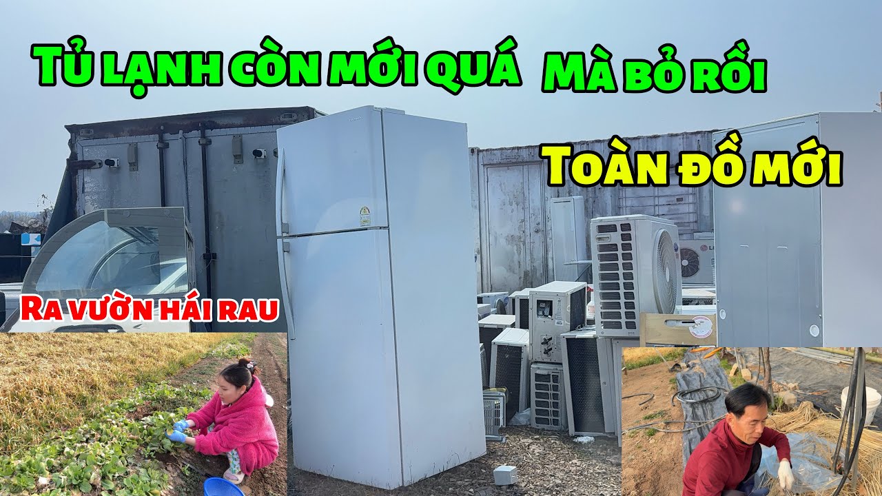 [210] khu phế liệu toàn bỏ đồ mới 