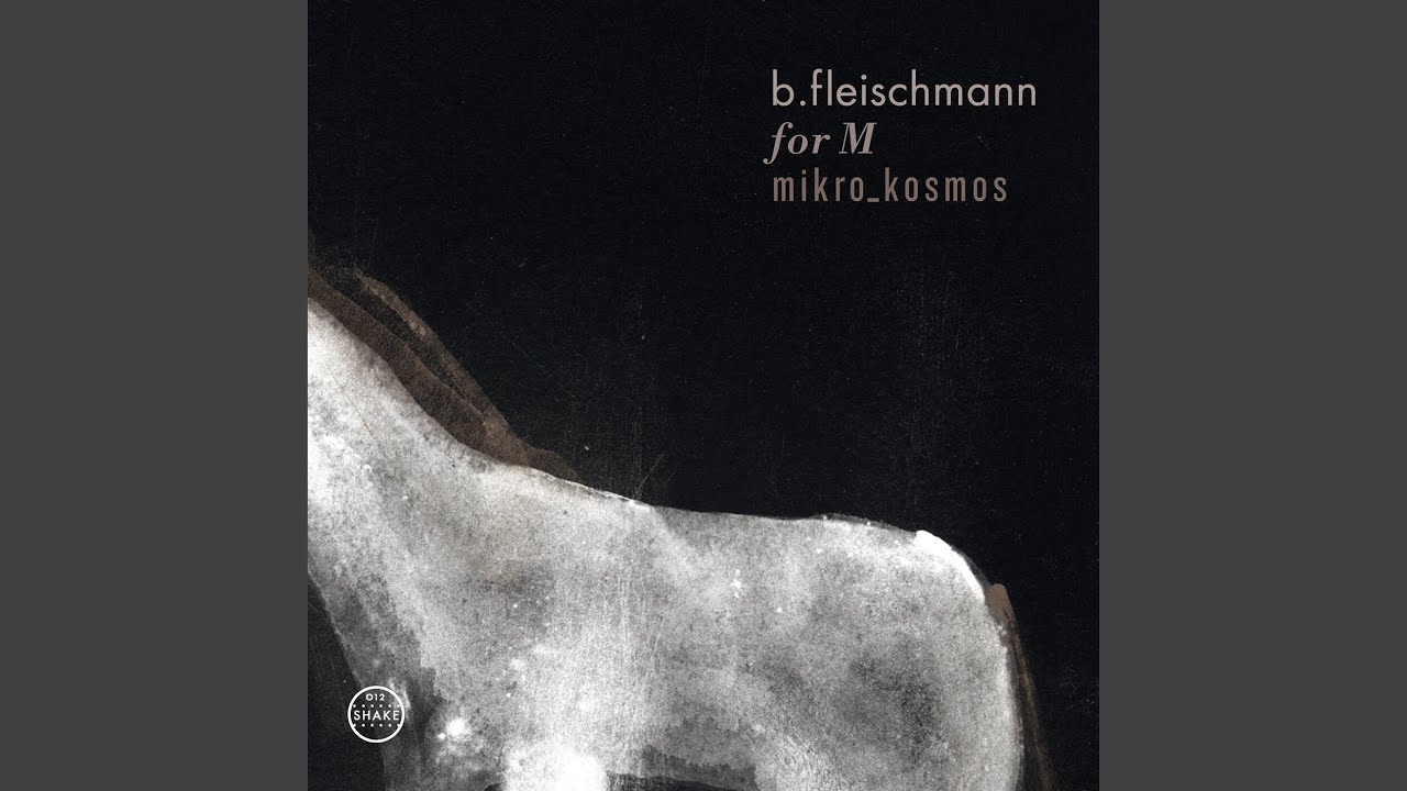For M – A Tribute To Mark Linkous