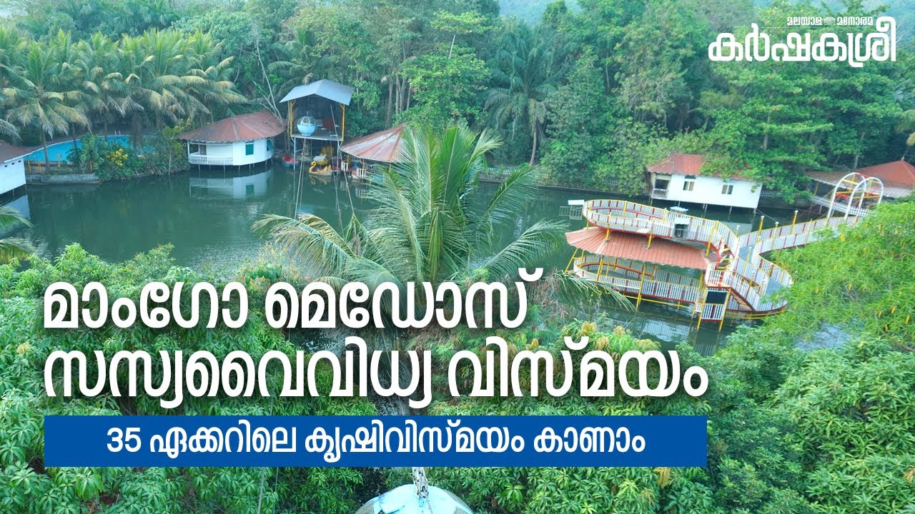 35 ഏക്കറിലെ കൃഷിവിസ്മയം കാണാം