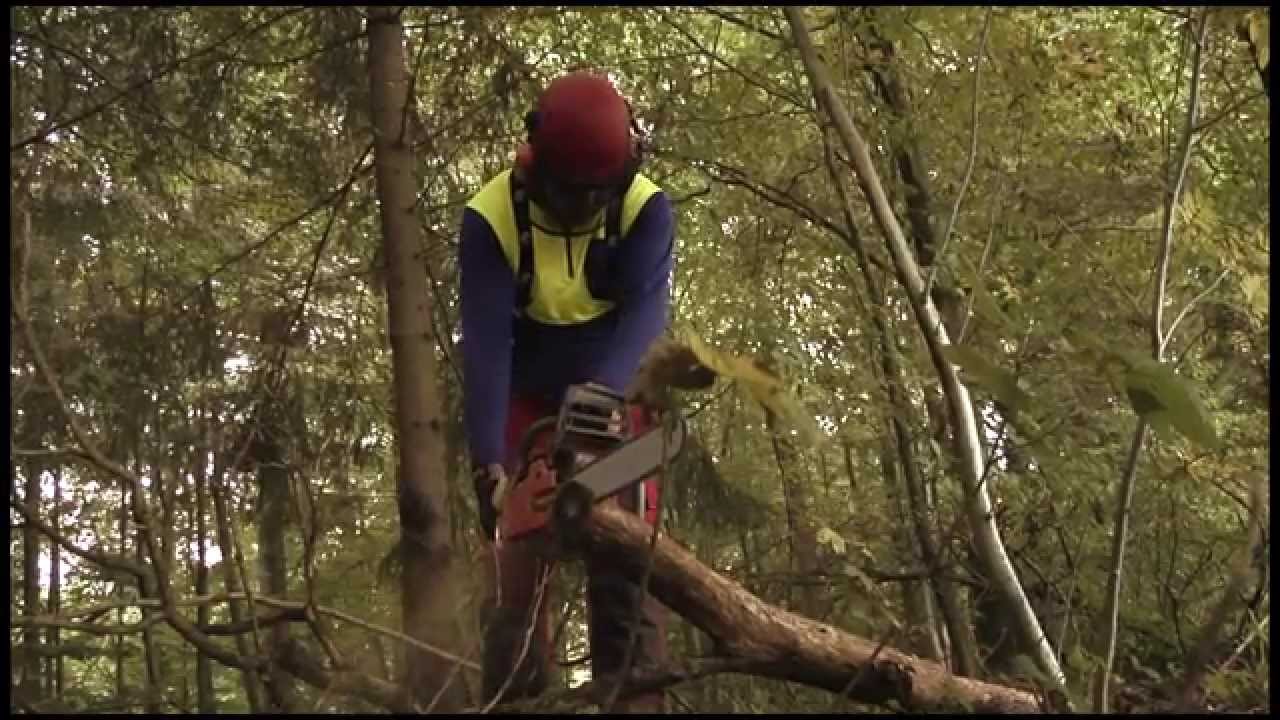 Brenner Forst Imagefilm