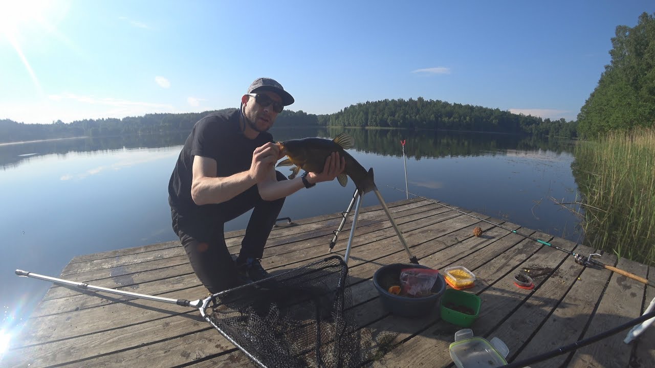 Maj, feeder i liny. Lin 51 cm na method feeder. Tench. 4K