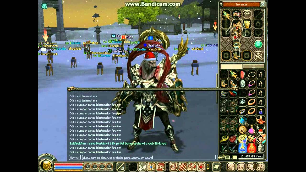 Metin2.Ro Prezentare caracter Kingdrifty