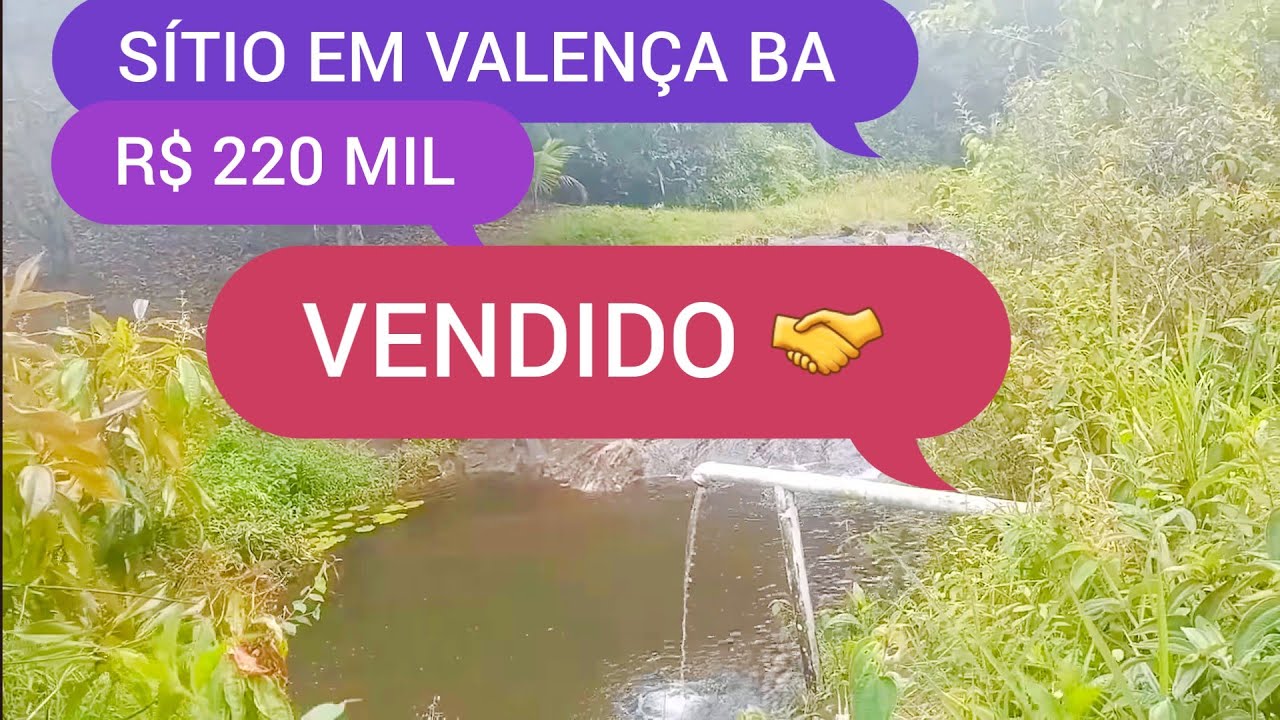 SÍTIO COM 4.5 HECTARES EM VALENÇA BA CÓDIGO:0193 ZAP 73981663547