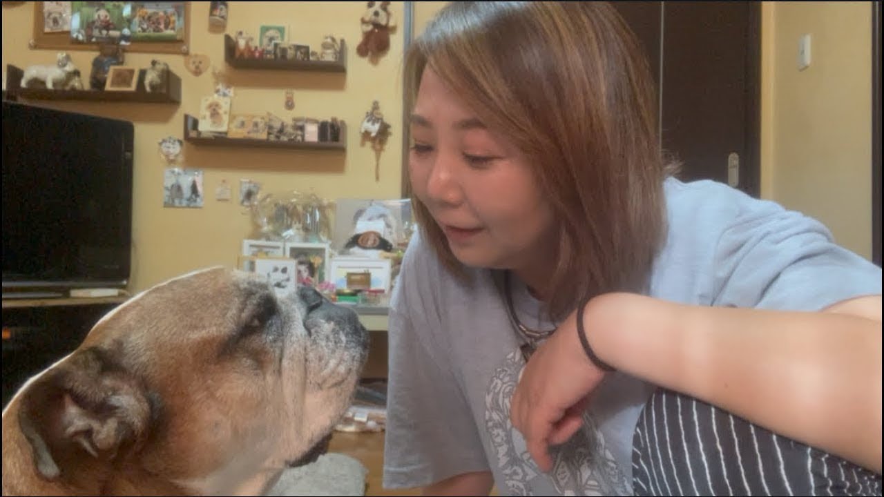 りっちゃん膀胱炎再発！お食事を見直すことにしました…