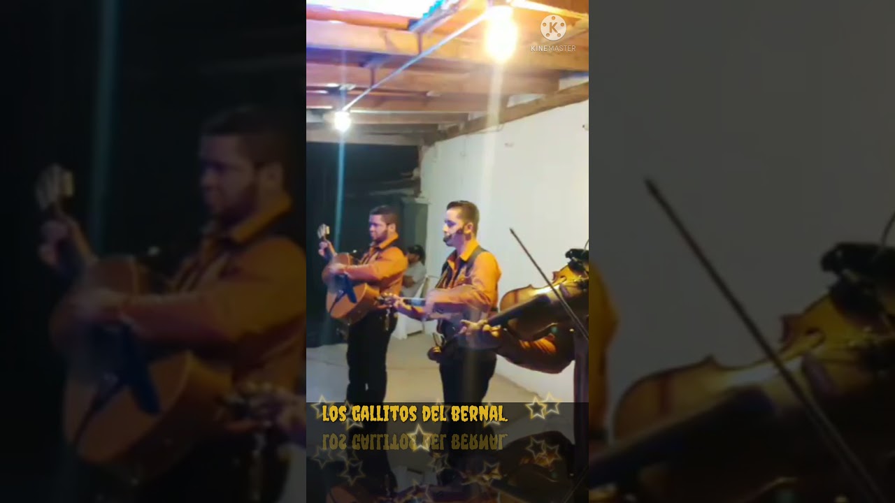 una  Ventura interpretado  por los gallitos del bernal.