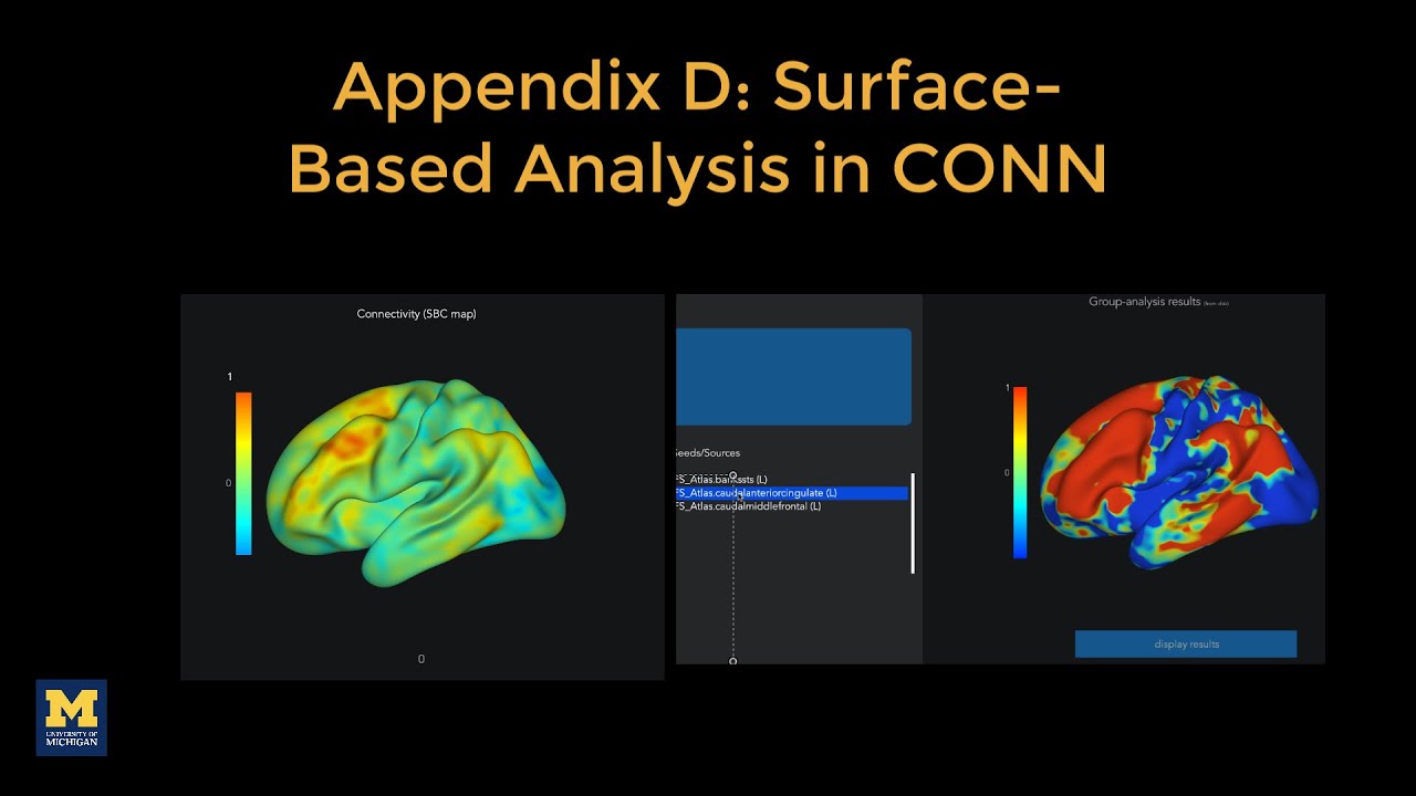 CONN Tutorial, Appendix D: Surface-Based Analysis