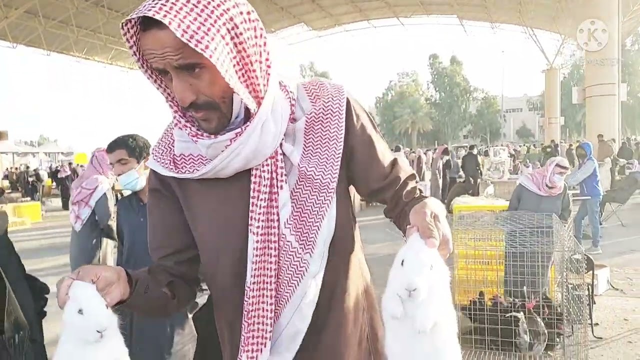 بريده/حراج الطيور الكبير في مدينة الانعام النموذجيه الجمعه ١٧/٧/١٤٤٣ (صل على محمد )
