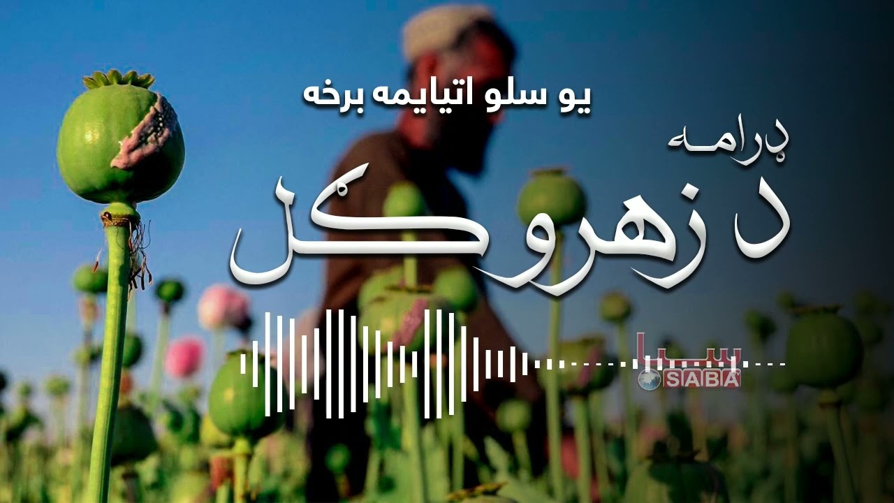 De Zahro Gul - Episode One Hundred Eighty | د زهرو ګل - یو سلو اتیایمه برخه