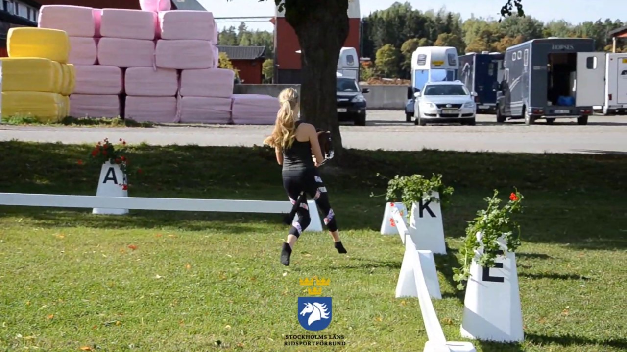 Käpphäst DM Dressyrprogram