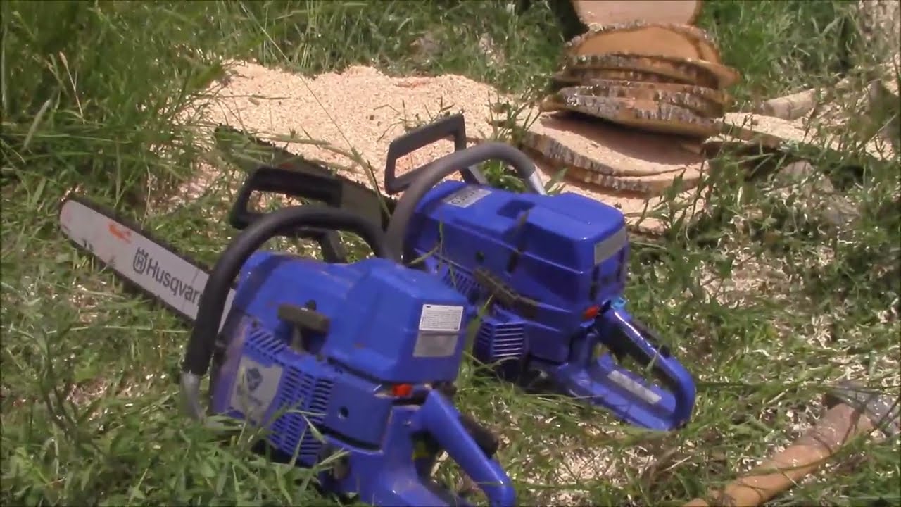 Cookie Race! Holzfforma g288 v Holzfforma g395