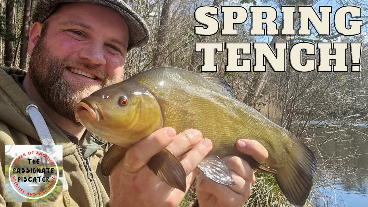Spring Stockbridge Tench - Farnham Angling Society, Stockbridge Pond