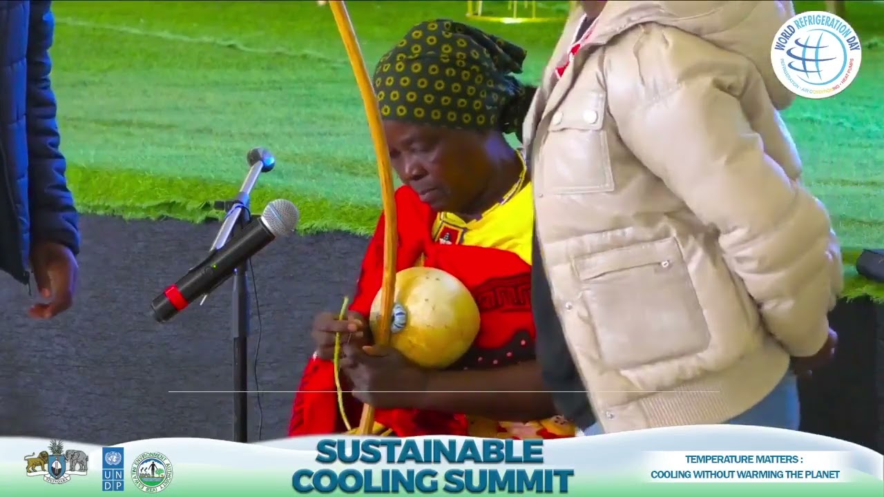 Eswatini Sustainable Cooling Summit 2024