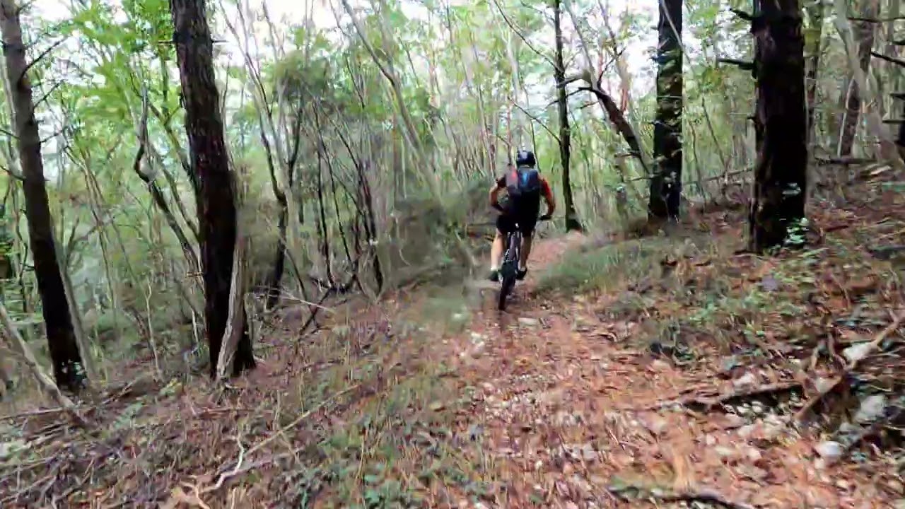 MTB Gemona del Friuli Sant' Agnese, periplo del M. Cumieli