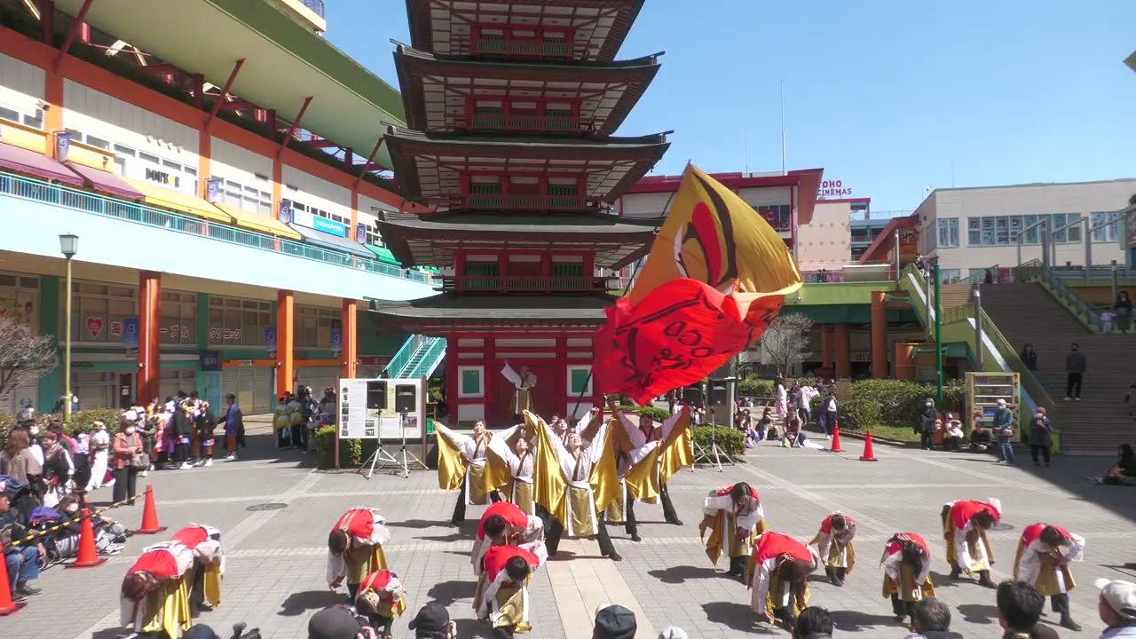 [4K]ど〜んと Coco de 踊らん会(Ebinaよさこい 2026/七重の塔前/一部)