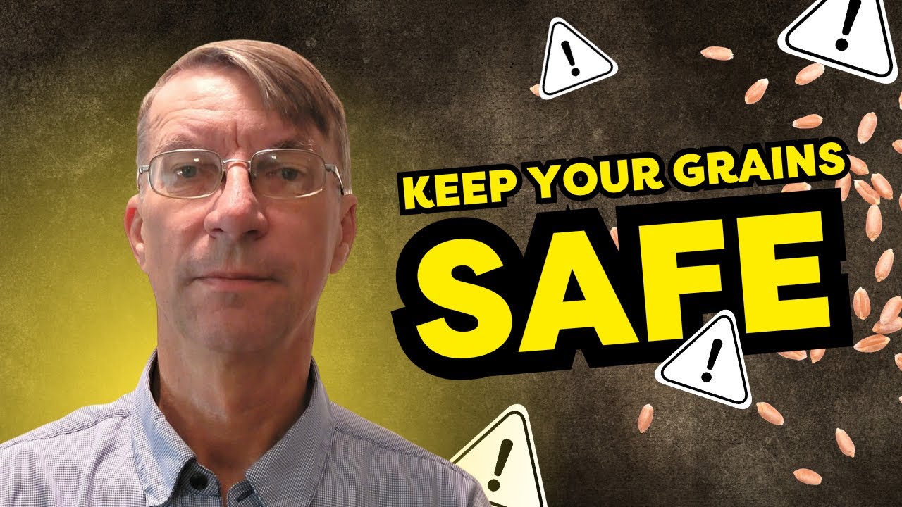 Managing Grain Contamination - Dr. Thomas Isakeit