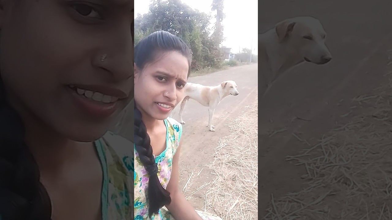 dog chi reaction 😂 bichara aikt aahe maj boln