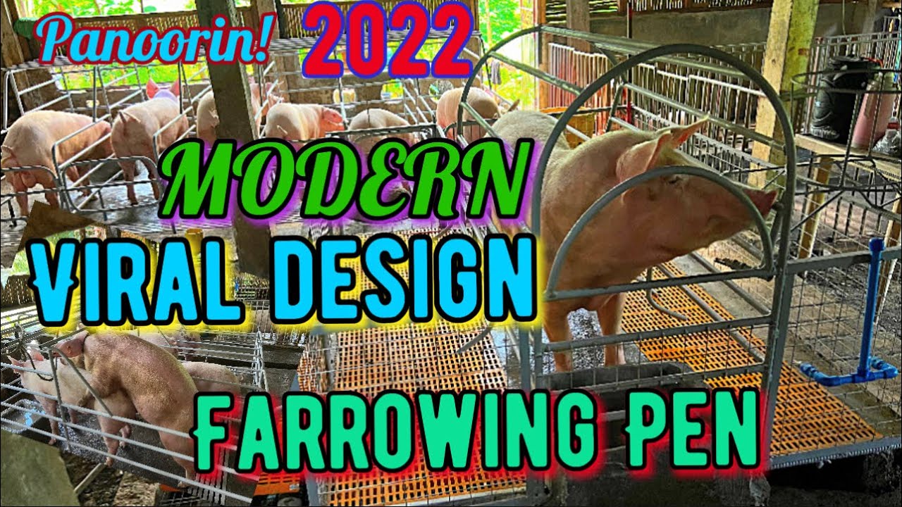 VIRAL DESIGN OF FORROWING PEN 2022