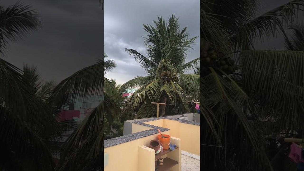 Pondicherry weather 💞#rainyday#pondicherry#shortsfeed