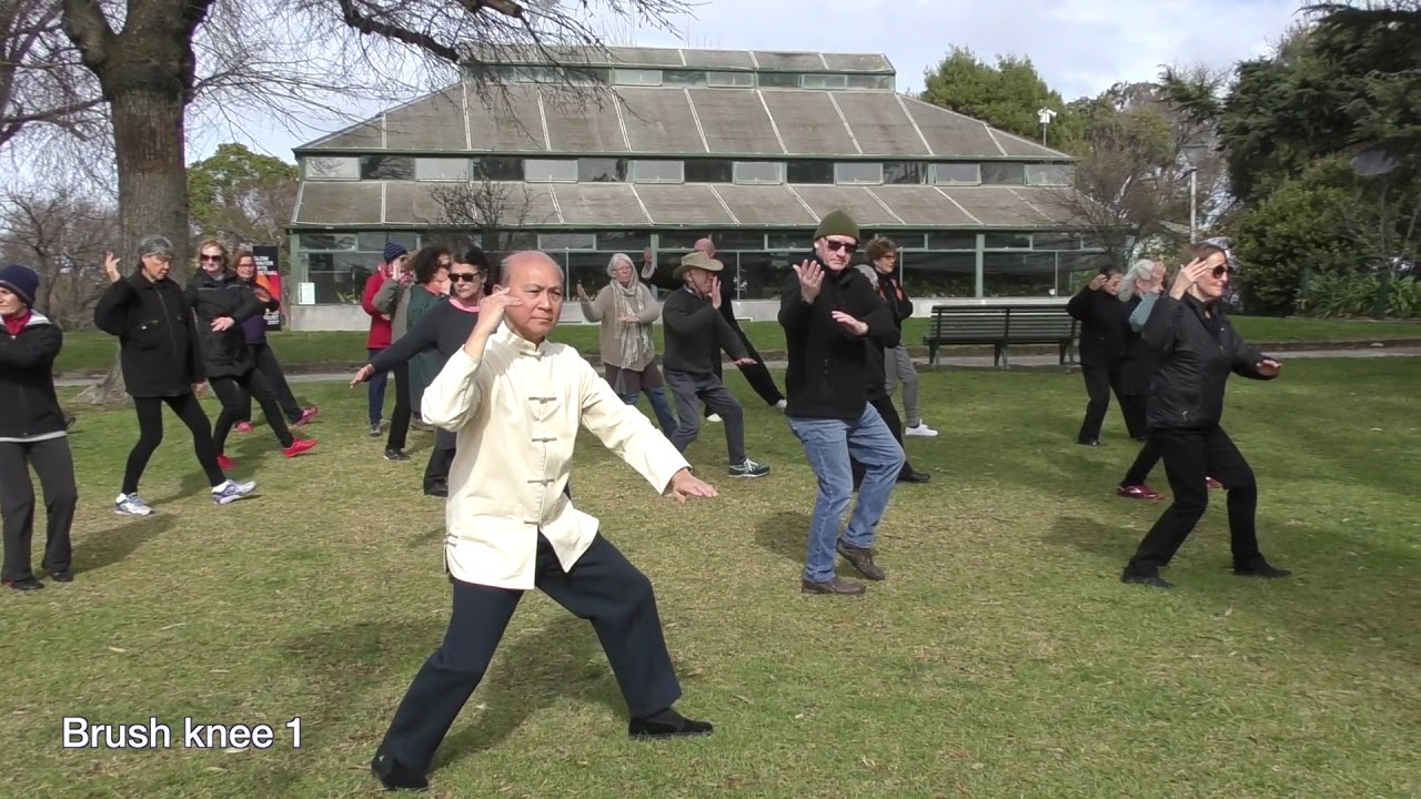 Yang Tai Chi Levels 1 & 2