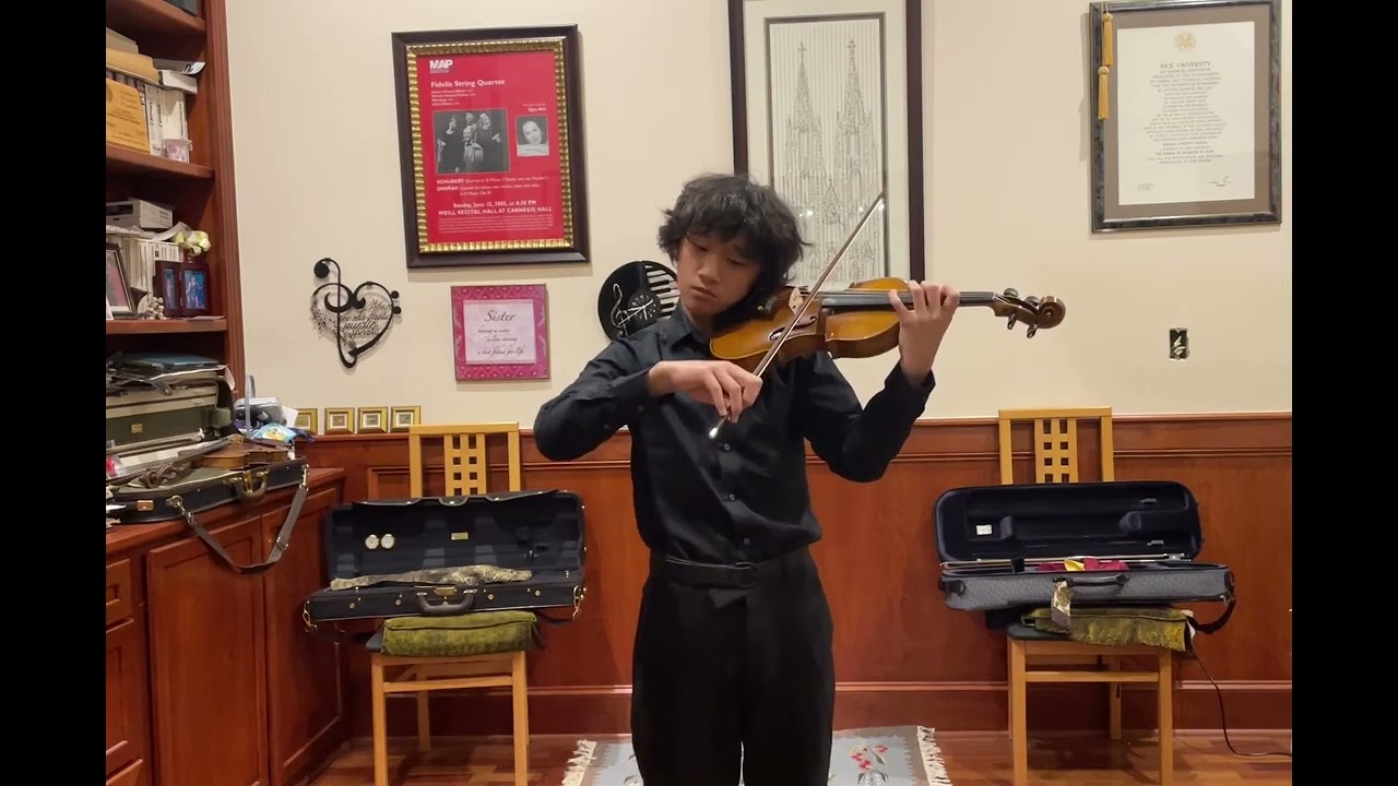 2025 AVIMC Winter Edition-Strings-Young Artist Group B-Second Prize-Ethan Suh