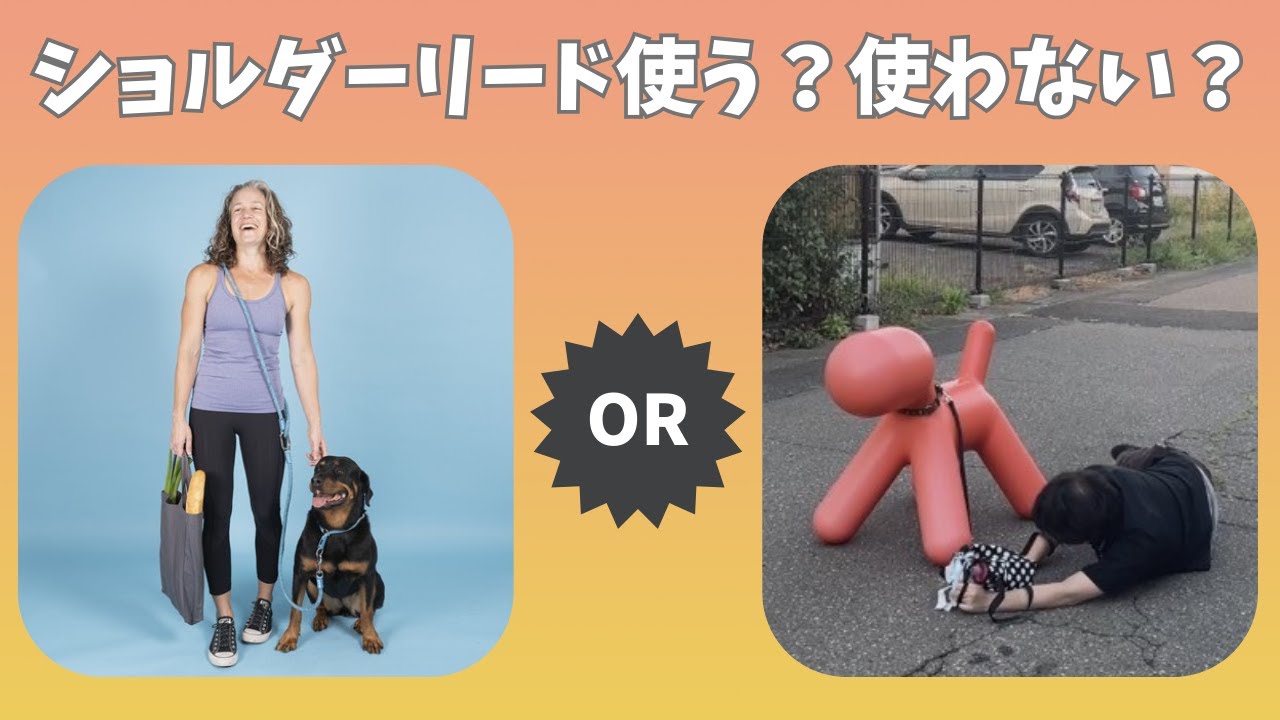 【愛犬の散歩を体で支える！？】小型犬から大型犬まで使えて超便利！ペットショップ店長がショルダーリードを紹介します！