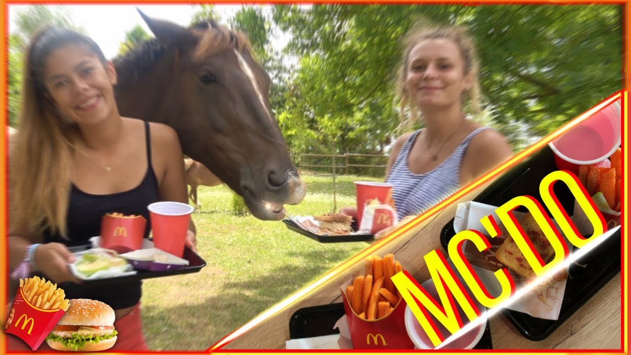 MES CHEVAUX MANGENT UN MCDO 🍟🍔