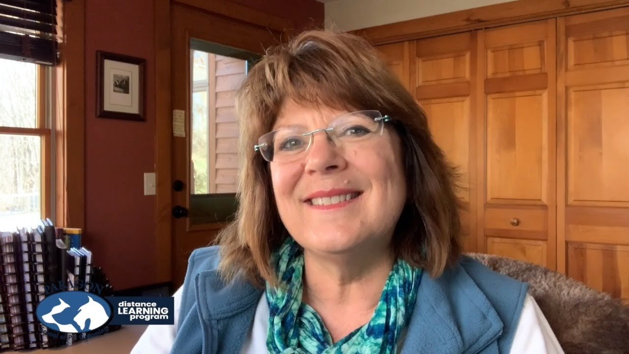 How Many Dogs Should A Professional Groomer be Able to Groom?