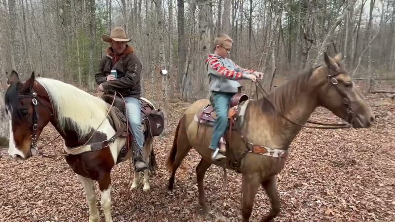 Sold!! River Kentucky mountain mare 