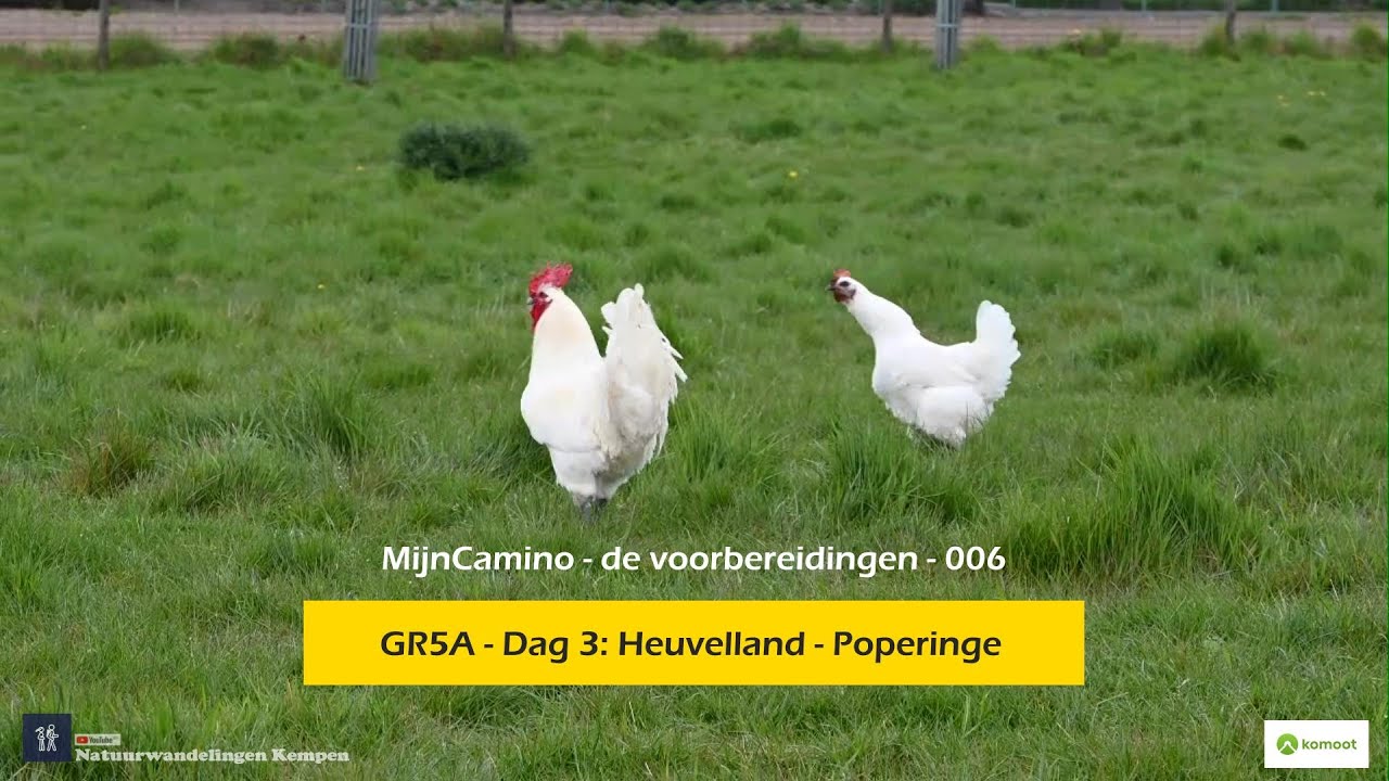 Wandelen op de GR5A Deel 4 (Heuvelland - Poperinge)
