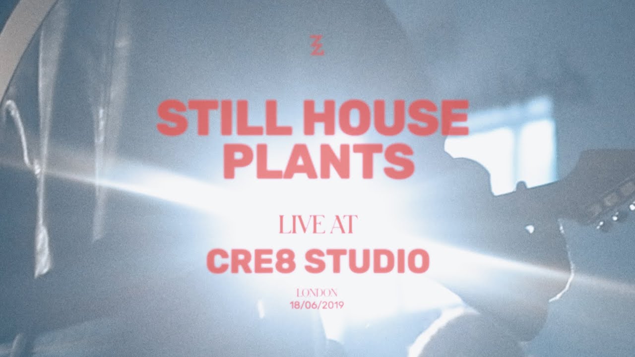 Still House Plants [live at Cre8 Studio London]