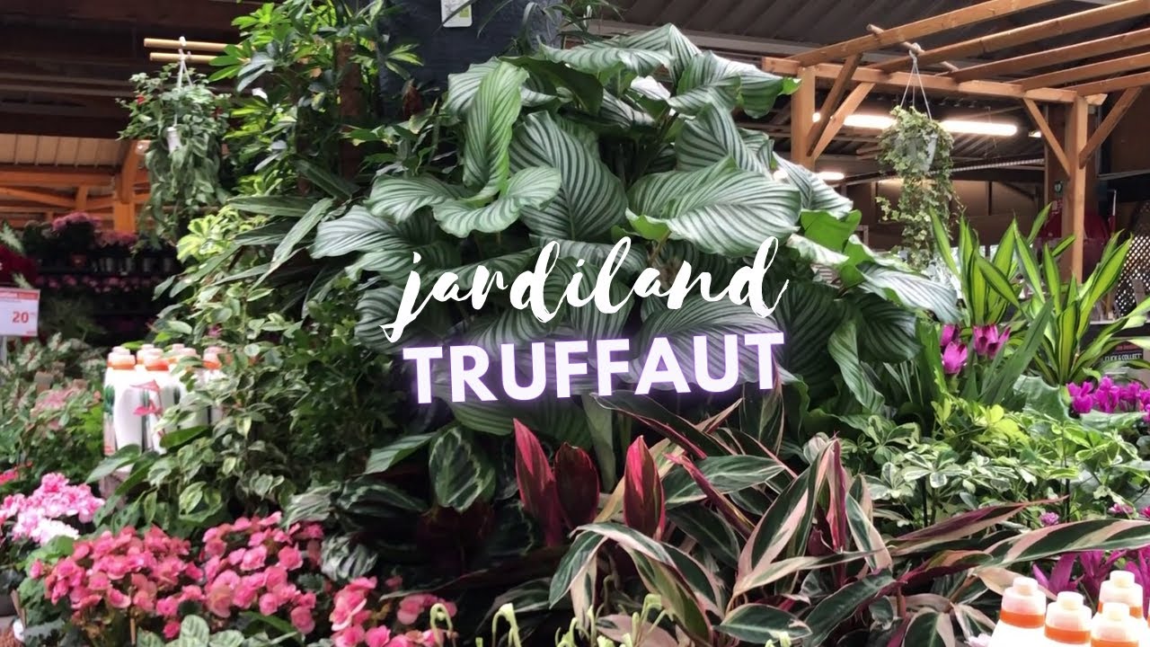 Jardinerie tour : Jardiland et Truffaut Metz Waves