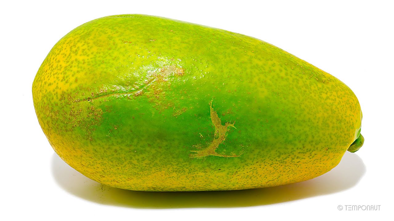 Rotting Papaya