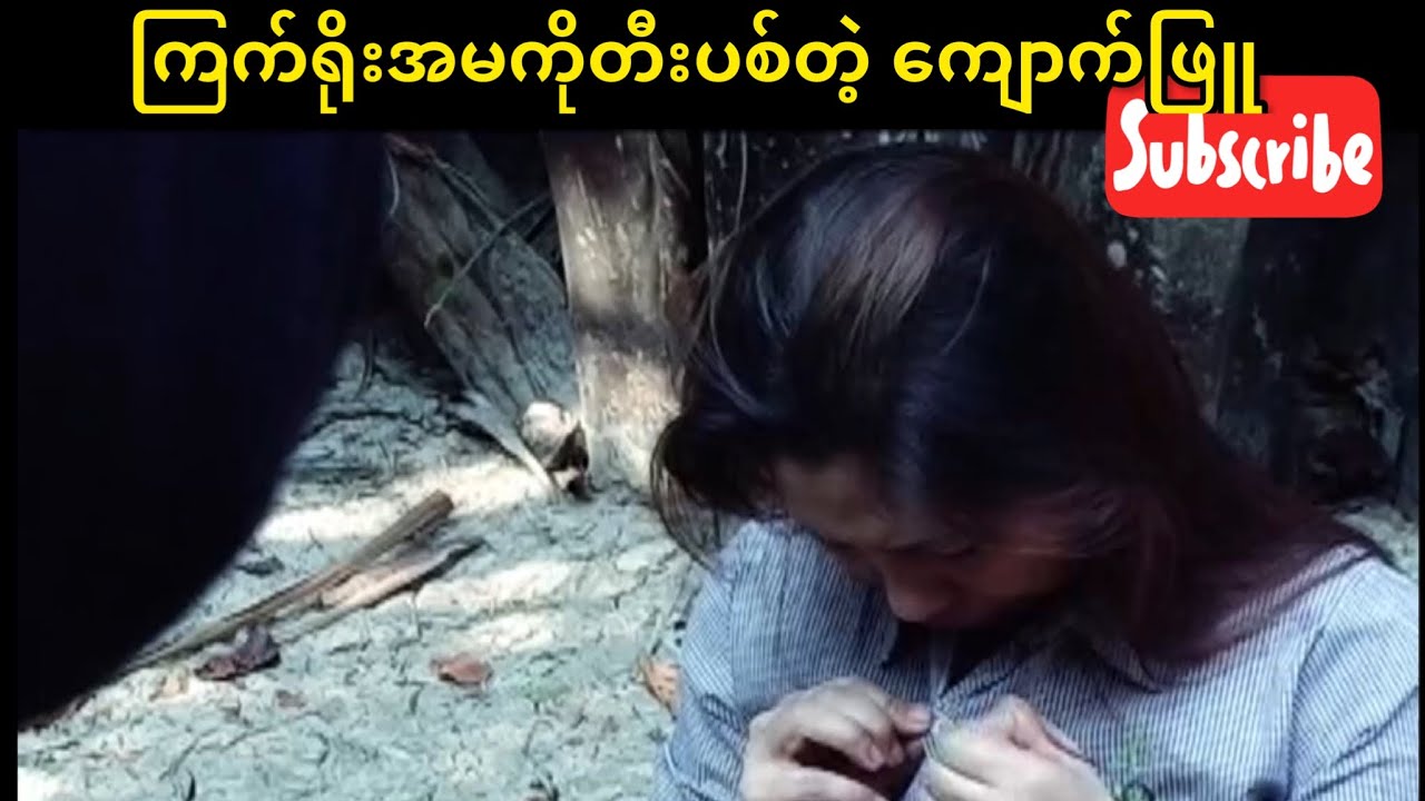 ကြက်ရိုးအမကိုမှ တီးပစ်တဲ့ ကျောက်ဖြူ