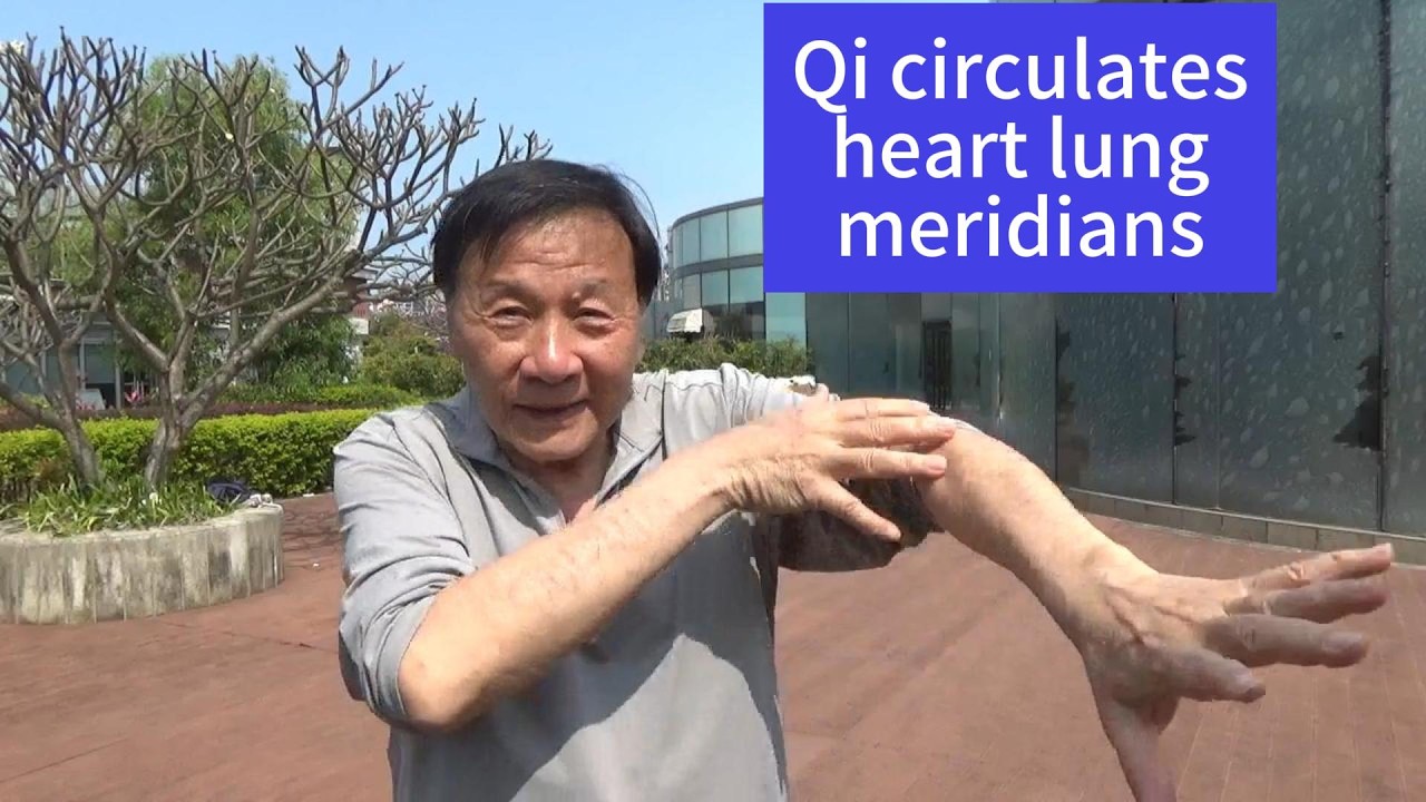 Qi circulates heart lung meridians #zhinengqigong #taichi #taoteching #qigong #qigongtaichi