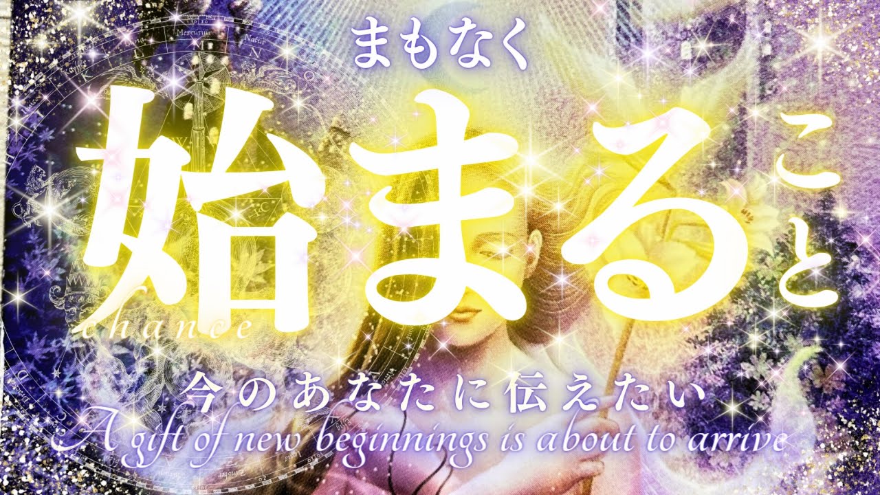 【今のあなたに伝えたい】まもなく始まること⚡️ネコ乱入🐾