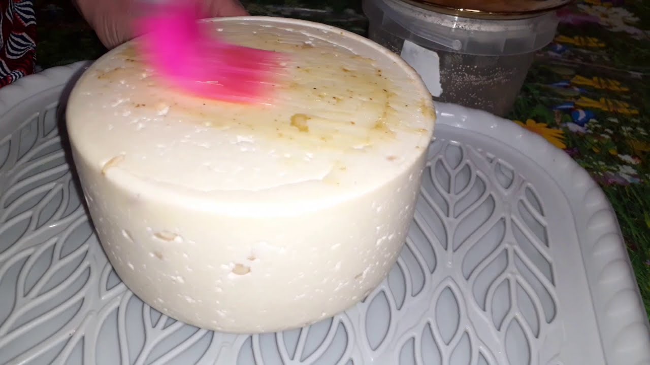 Альпийский сыр с кедровым орехом в медовой корочке