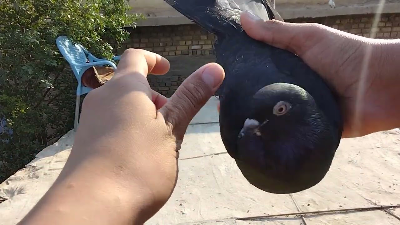 ٢٦ ديسمبر، ٢٠٢٥