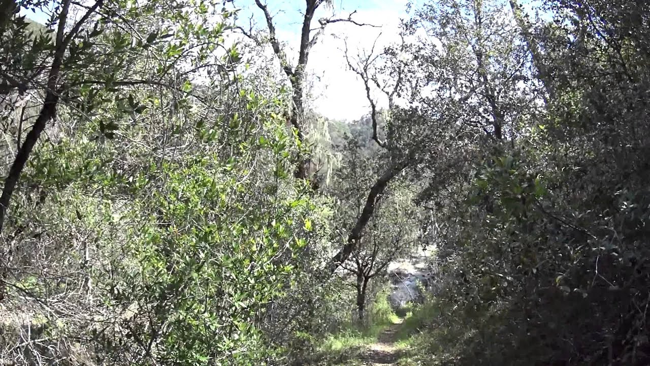 Henry Coe Overnighter April 2015