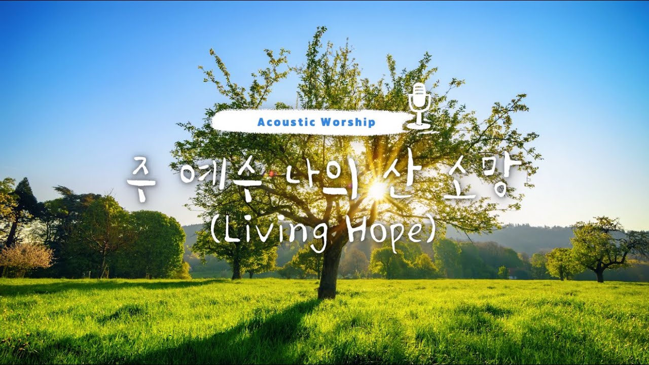 [어쿠스틱워십] 주 예수 나의 산 소망(Living Hope) by 강중현