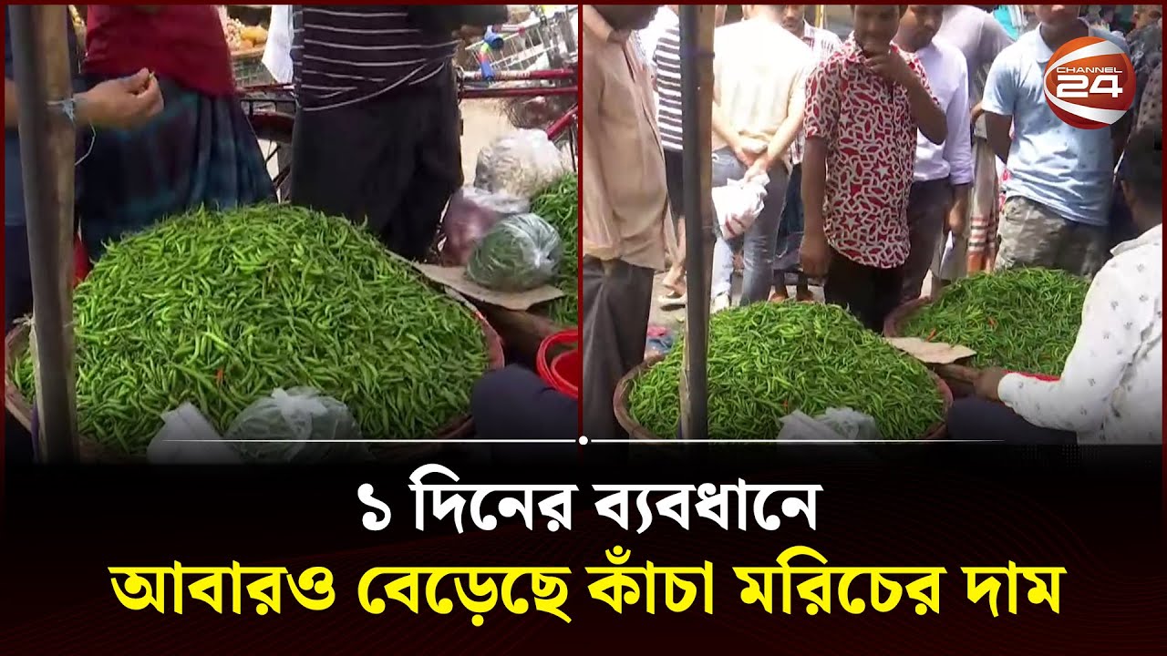 এ যেন রোলার কোস্টারে চড়েছে কাঁচা মরিচ! | Kacha morich price | Channel 24